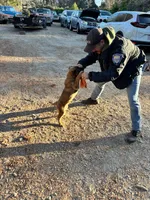 processed/cff17cc2-2cac-4f6c-833c-26b047ec4895/listing/37aab2cb-8dc4-4540-86fc-02fc7bcaf12c/eae19d8d-e09d-425e-89ca-2bd0321bc207