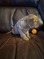 processed/cff9795f-790c-4e77-891b-29e4f5f72ee8/listing/51b18b14-df3d-470f-85e9-005c2dc6eb9a/000d6dea-97ec-40af-861c-aff09f8316ab