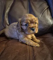 processed/cff9795f-790c-4e77-891b-29e4f5f72ee8/listing/51b18b14-df3d-470f-85e9-005c2dc6eb9a/93a2ccc2-74f3-47ea-93b0-3d0cf39cdfef