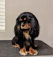 processed/cff9795f-790c-4e77-891b-29e4f5f72ee8/listing/51b18b14-df3d-470f-85e9-005c2dc6eb9a/c7a0ede8-b7d3-488a-84eb-27582ea147c8