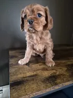 processed/cff9795f-790c-4e77-891b-29e4f5f72ee8/listing/51b18b14-df3d-470f-85e9-005c2dc6eb9a/d17584c0-c098-4e34-bec0-adfb80770b83