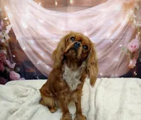 processed/cff9795f-790c-4e77-891b-29e4f5f72ee8/listing/51b18b14-df3d-470f-85e9-005c2dc6eb9a/e2b06b9f-f461-4b9f-98a0-b17097ca732c