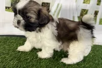 processed/cffb2c99-f6a1-498c-9cf5-d6e70a4b5ecb/listing/05f05261-3e3a-43e0-af0a-fcec8edd310c/009bf909-f407-4e0e-8a99-036661baa355