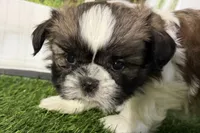 processed/cffb2c99-f6a1-498c-9cf5-d6e70a4b5ecb/listing/05f05261-3e3a-43e0-af0a-fcec8edd310c/26bde81d-18d4-4df6-947f-7e4547a01e78