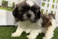 processed/cffb2c99-f6a1-498c-9cf5-d6e70a4b5ecb/listing/05f05261-3e3a-43e0-af0a-fcec8edd310c/725f4d5a-ea90-490a-9bed-e63d59b4a927