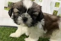 processed/cffb2c99-f6a1-498c-9cf5-d6e70a4b5ecb/listing/05f05261-3e3a-43e0-af0a-fcec8edd310c/87944db8-720d-4c4a-bddf-05032186a675