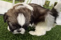 processed/cffb2c99-f6a1-498c-9cf5-d6e70a4b5ecb/listing/05f05261-3e3a-43e0-af0a-fcec8edd310c/932f8454-6ab9-4179-b68c-08ced9ec8a6c