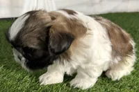 processed/cffb2c99-f6a1-498c-9cf5-d6e70a4b5ecb/listing/05f05261-3e3a-43e0-af0a-fcec8edd310c/96829011-37a9-483c-ac2e-e1979d052a09