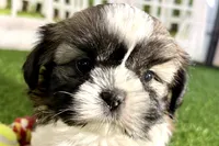 processed/cffb2c99-f6a1-498c-9cf5-d6e70a4b5ecb/listing/05f05261-3e3a-43e0-af0a-fcec8edd310c/bf49d812-5e57-4ca0-a6fa-278c321e94eb