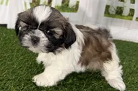 processed/cffb2c99-f6a1-498c-9cf5-d6e70a4b5ecb/listing/05f05261-3e3a-43e0-af0a-fcec8edd310c/c9b0010b-f8e7-478a-9f46-402ce3d22b0a