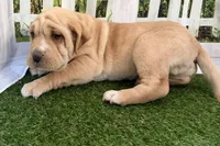 processed/cffb2c99-f6a1-498c-9cf5-d6e70a4b5ecb/listing/2df417f0-7524-4c67-b258-df8505480939/cb11f738-1971-4984-aec2-e5021ce92b4d