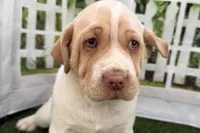 processed/cffb2c99-f6a1-498c-9cf5-d6e70a4b5ecb/listing/322f616e-475d-4242-863e-0dd59ba2be34/969796e1-a416-4428-a913-710332a2a9f8