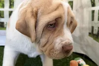 processed/cffb2c99-f6a1-498c-9cf5-d6e70a4b5ecb/listing/322f616e-475d-4242-863e-0dd59ba2be34/c28426c0-2ffa-437f-be7b-7fb529f6047f