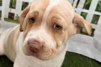 processed/cffb2c99-f6a1-498c-9cf5-d6e70a4b5ecb/listing/322f616e-475d-4242-863e-0dd59ba2be34/f2c3be82-4250-4028-847c-b5b176884c52