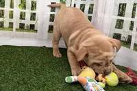 processed/cffb2c99-f6a1-498c-9cf5-d6e70a4b5ecb/listing/3abf7753-2c42-414d-8722-282f145eafe6/898b79dd-6011-4aec-9487-ee25c5a5caa2