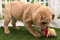 processed/cffb2c99-f6a1-498c-9cf5-d6e70a4b5ecb/listing/3abf7753-2c42-414d-8722-282f145eafe6/89ba7e45-b920-4cd8-9af2-655c0334d95e