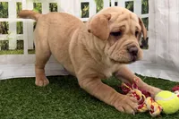 processed/cffb2c99-f6a1-498c-9cf5-d6e70a4b5ecb/listing/3abf7753-2c42-414d-8722-282f145eafe6/c1dbf96a-d539-460a-adc4-c771bc56ad42