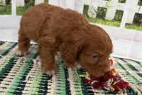 processed/cffb2c99-f6a1-498c-9cf5-d6e70a4b5ecb/listing/55c0b6a0-af98-41f5-a8ab-4d2acd5722ca/20d1443d-0b89-4fb3-a073-590bba01ca48