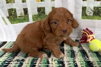 processed/cffb2c99-f6a1-498c-9cf5-d6e70a4b5ecb/listing/55c0b6a0-af98-41f5-a8ab-4d2acd5722ca/745f232e-ddac-4e21-8537-bccdbc62f47c