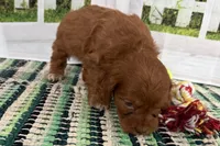 processed/cffb2c99-f6a1-498c-9cf5-d6e70a4b5ecb/listing/55c0b6a0-af98-41f5-a8ab-4d2acd5722ca/83558b36-bb5d-42b4-b4a8-421a17574810