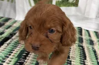 processed/cffb2c99-f6a1-498c-9cf5-d6e70a4b5ecb/listing/55c0b6a0-af98-41f5-a8ab-4d2acd5722ca/95a9d170-bff4-4ba3-a9a7-e0b6897a56be