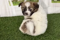 processed/cffb2c99-f6a1-498c-9cf5-d6e70a4b5ecb/listing/add64982-ac2f-4bda-93c4-9caae9ad764d/3c56917b-de1f-4324-ba79-c49a4bd62874