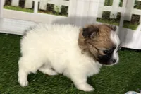 processed/cffb2c99-f6a1-498c-9cf5-d6e70a4b5ecb/listing/add64982-ac2f-4bda-93c4-9caae9ad764d/53ab00d5-d4fd-4aed-9537-7c97c84ec74e