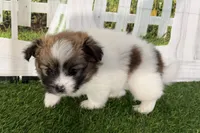 processed/cffb2c99-f6a1-498c-9cf5-d6e70a4b5ecb/listing/add64982-ac2f-4bda-93c4-9caae9ad764d/7dc98f7e-8391-4ce7-a8c3-ac47916bcdeb