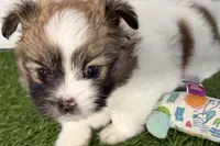 processed/cffb2c99-f6a1-498c-9cf5-d6e70a4b5ecb/listing/add64982-ac2f-4bda-93c4-9caae9ad764d/9d36983e-b0ab-44e5-8edb-6ec5ab1f6f4f