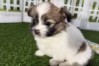 processed/cffb2c99-f6a1-498c-9cf5-d6e70a4b5ecb/listing/add64982-ac2f-4bda-93c4-9caae9ad764d/e7b7e4cd-0a8f-4e06-99f5-507d18e2204b