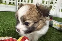 processed/cffb2c99-f6a1-498c-9cf5-d6e70a4b5ecb/listing/add64982-ac2f-4bda-93c4-9caae9ad764d/fe7fd165-64eb-4bcb-bb55-5171187f977a