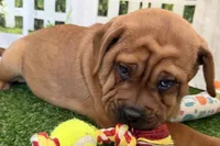 processed/cffb2c99-f6a1-498c-9cf5-d6e70a4b5ecb/listing/bbd06d41-e8d8-4ec0-8599-d26ad016d69d/3afbc56b-fd47-4586-b3aa-323833563ceb