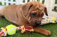 processed/cffb2c99-f6a1-498c-9cf5-d6e70a4b5ecb/listing/bbd06d41-e8d8-4ec0-8599-d26ad016d69d/4f57c642-2d76-40de-a514-82f33f5b913d