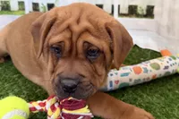 processed/cffb2c99-f6a1-498c-9cf5-d6e70a4b5ecb/listing/bbd06d41-e8d8-4ec0-8599-d26ad016d69d/7be24734-9d2f-4878-917f-c7fd321a9737