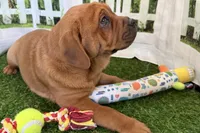 processed/cffb2c99-f6a1-498c-9cf5-d6e70a4b5ecb/listing/bbd06d41-e8d8-4ec0-8599-d26ad016d69d/97dd66c6-4277-406d-8f05-a4e382294890