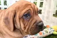 processed/cffb2c99-f6a1-498c-9cf5-d6e70a4b5ecb/listing/bbd06d41-e8d8-4ec0-8599-d26ad016d69d/bd10819b-f613-4473-b373-345a8a8ba552