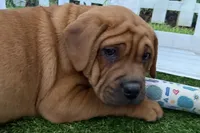 processed/cffb2c99-f6a1-498c-9cf5-d6e70a4b5ecb/listing/bbd06d41-e8d8-4ec0-8599-d26ad016d69d/c4eca150-c836-432b-aea8-71cb3a7d2f08