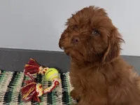 processed/cffb2c99-f6a1-498c-9cf5-d6e70a4b5ecb/listing/fb80dfc1-3135-4595-8855-2f1ff9e4706e/b131cbb0-afab-4b6f-ae23-5ba730803351