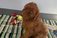 processed/cffb2c99-f6a1-498c-9cf5-d6e70a4b5ecb/listing/fb80dfc1-3135-4595-8855-2f1ff9e4706e/d4ea4e4b-662c-4eb8-80f5-6fd1fe8779ad