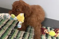 processed/cffb2c99-f6a1-498c-9cf5-d6e70a4b5ecb/listing/fb80dfc1-3135-4595-8855-2f1ff9e4706e/e2599a81-fb04-4201-bb8c-dbc124d73585