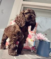 processed/cffdba66-b4ae-436c-abbf-5836c15dcccb/listing/011528c2-449f-476e-98cb-6234459fb470/0a3eefd4-9471-4bd9-8f91-9b8d7ccedb3d