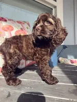 processed/cffdba66-b4ae-436c-abbf-5836c15dcccb/listing/011528c2-449f-476e-98cb-6234459fb470/8619b504-9fa7-4d1a-8efa-11e0bff390d0