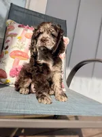 processed/cffdba66-b4ae-436c-abbf-5836c15dcccb/listing/25429c03-de87-4726-bcef-85ff72ddcbd2/5e77fd30-cd14-49df-87ea-d5af06b929f0