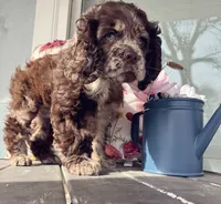 processed/cffdba66-b4ae-436c-abbf-5836c15dcccb/listing/25429c03-de87-4726-bcef-85ff72ddcbd2/e8dc6fd5-a3d6-4f38-8c4c-2a9c8d7e908d