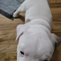 processed/d008a694-48a6-4627-aa56-3332f8210192/listing/643cdda4-994a-41af-8da6-c3dc8d7e011d/eac30568-486b-48c2-80a0-57669d017e19