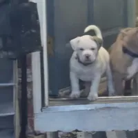 processed/d008a694-48a6-4627-aa56-3332f8210192/listing/643cdda4-994a-41af-8da6-c3dc8d7e011d/f2e4a645-bc83-46df-9c68-e6a08cd9318b