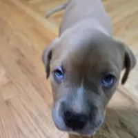 processed/d008a694-48a6-4627-aa56-3332f8210192/listing/676374df-b90e-440d-9f29-2b2e3aec7189/70d631e9-fae1-4736-8b85-732275117f30