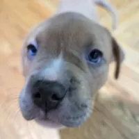 processed/d008a694-48a6-4627-aa56-3332f8210192/listing/676374df-b90e-440d-9f29-2b2e3aec7189/eef4d654-0870-4664-aa58-7407a09ca0cc