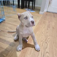 processed/d008a694-48a6-4627-aa56-3332f8210192/listing/7536f27d-ae4a-4cc1-aca3-e8409cda29aa/69c05029-5b27-4981-b0ab-9045971a0d3d