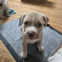 processed/d008a694-48a6-4627-aa56-3332f8210192/listing/7536f27d-ae4a-4cc1-aca3-e8409cda29aa/6e8e5bd5-98d2-4433-a1e6-f6f7af7b30fc